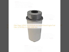 Filterpapier HZHLY 3C11 9176 BC voor Transit Diesel Motor Fuel Filter 3c119176bc in 2002-2006 Jaar